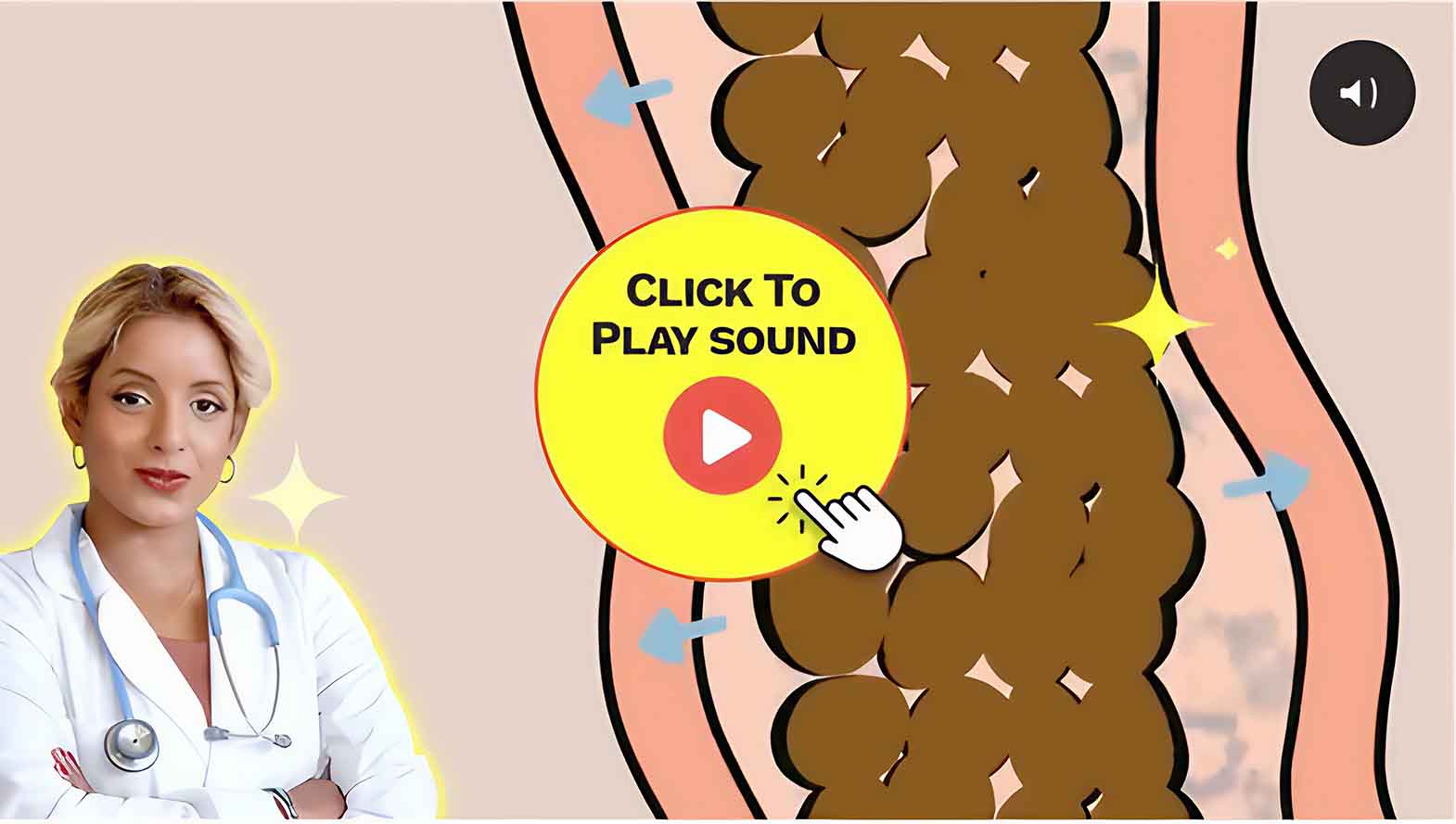 Digestion