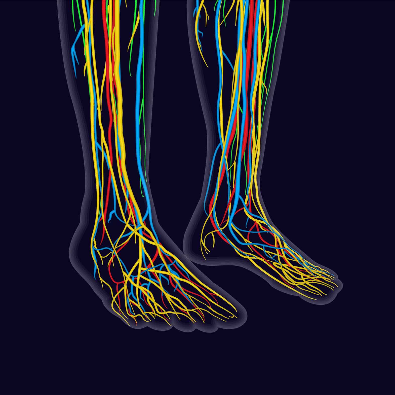 LymphVive