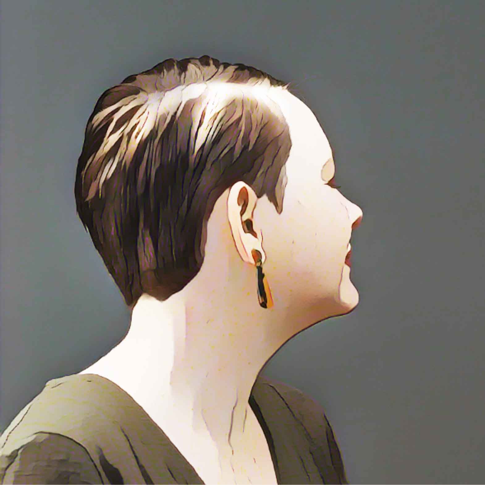 HairSwitch