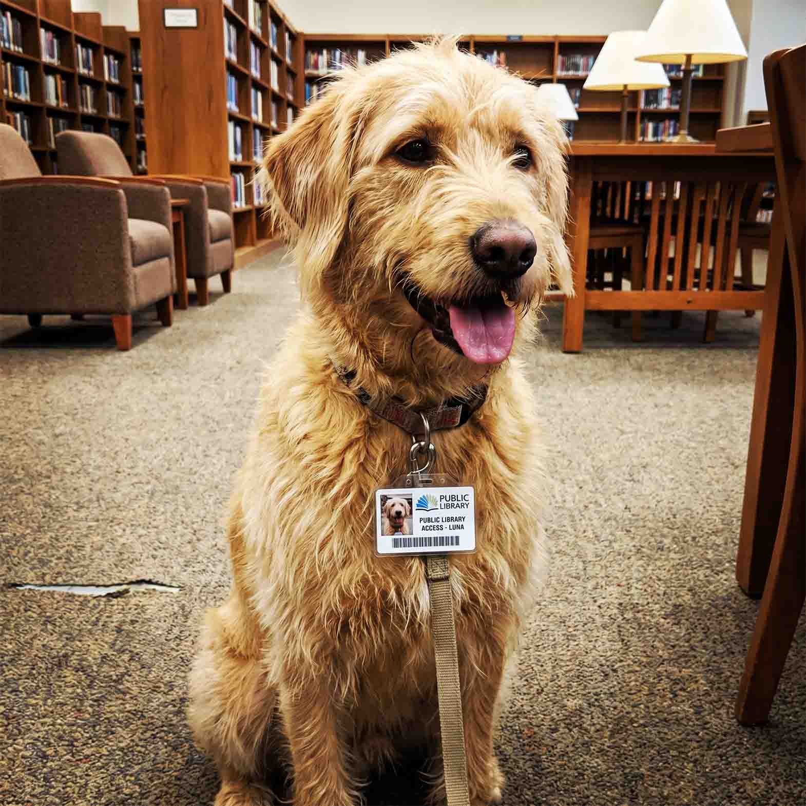 SeniorLibrary