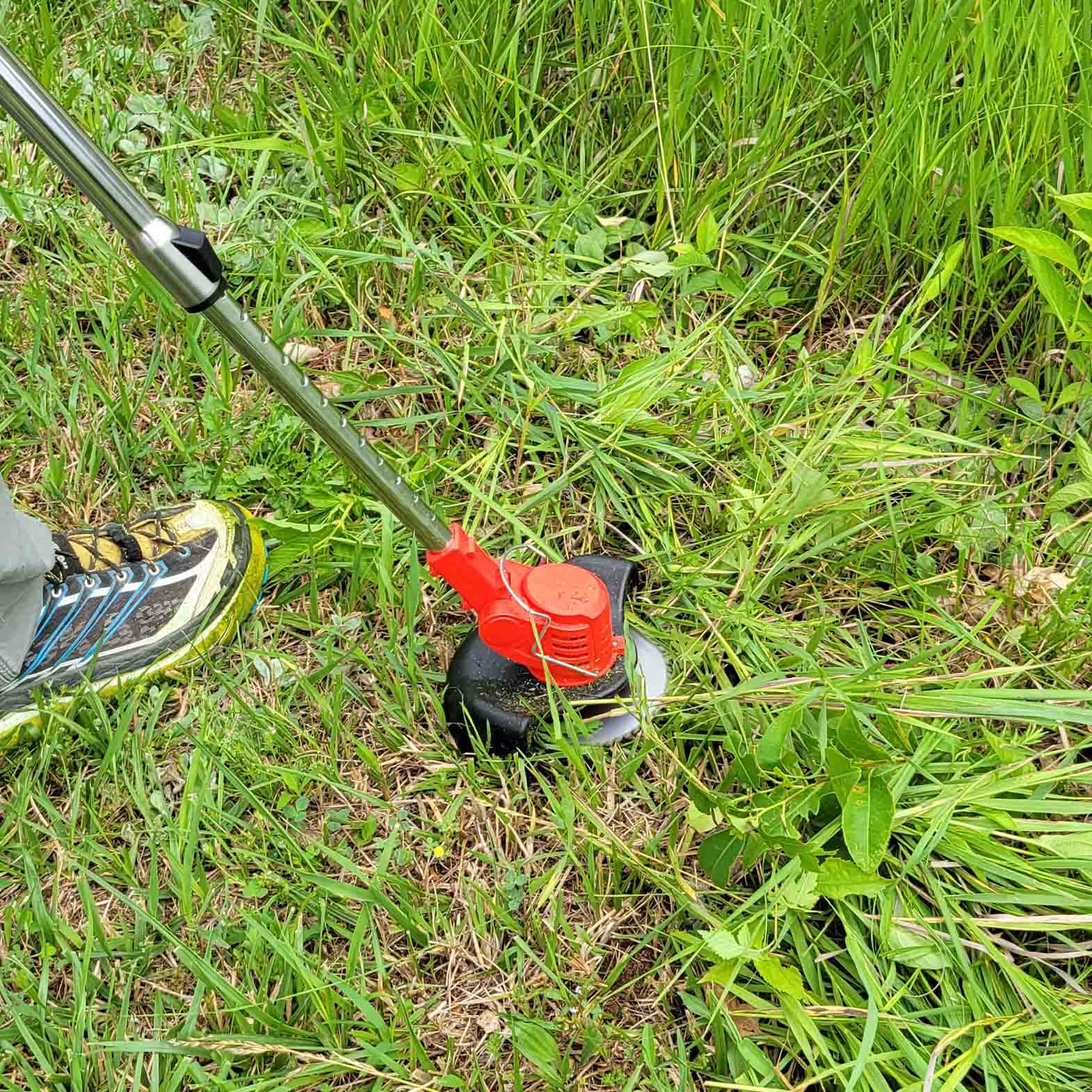 Weed trimmer